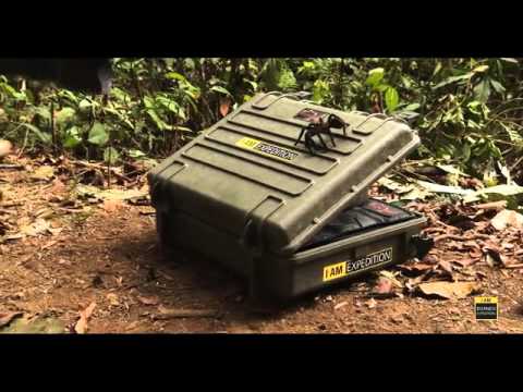 Explorer Cases   Borneo 2014