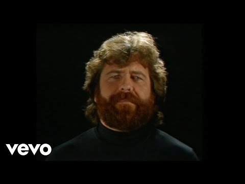 Werner Zauner - Eine Grille auf der Brille