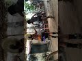 Manaparai Karakattam Ajith7305736313