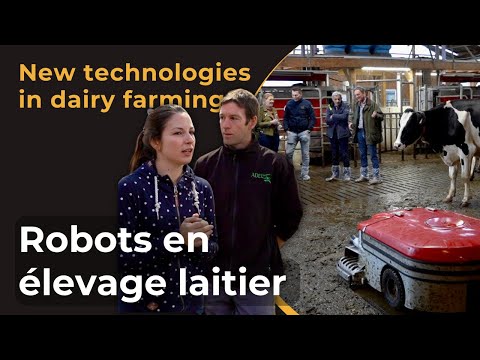 How new technologies change a dairy farm