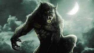 POWER WOLF - Night Of The Werewolves  Sub español