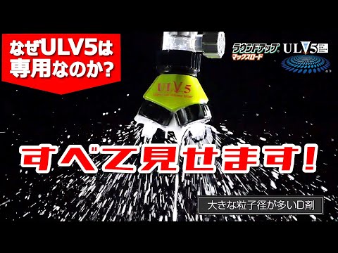 自家製ラウンドアップの作り方は？ 3 つの材料と 5 分で天然の強力な除草剤が完成  庭園