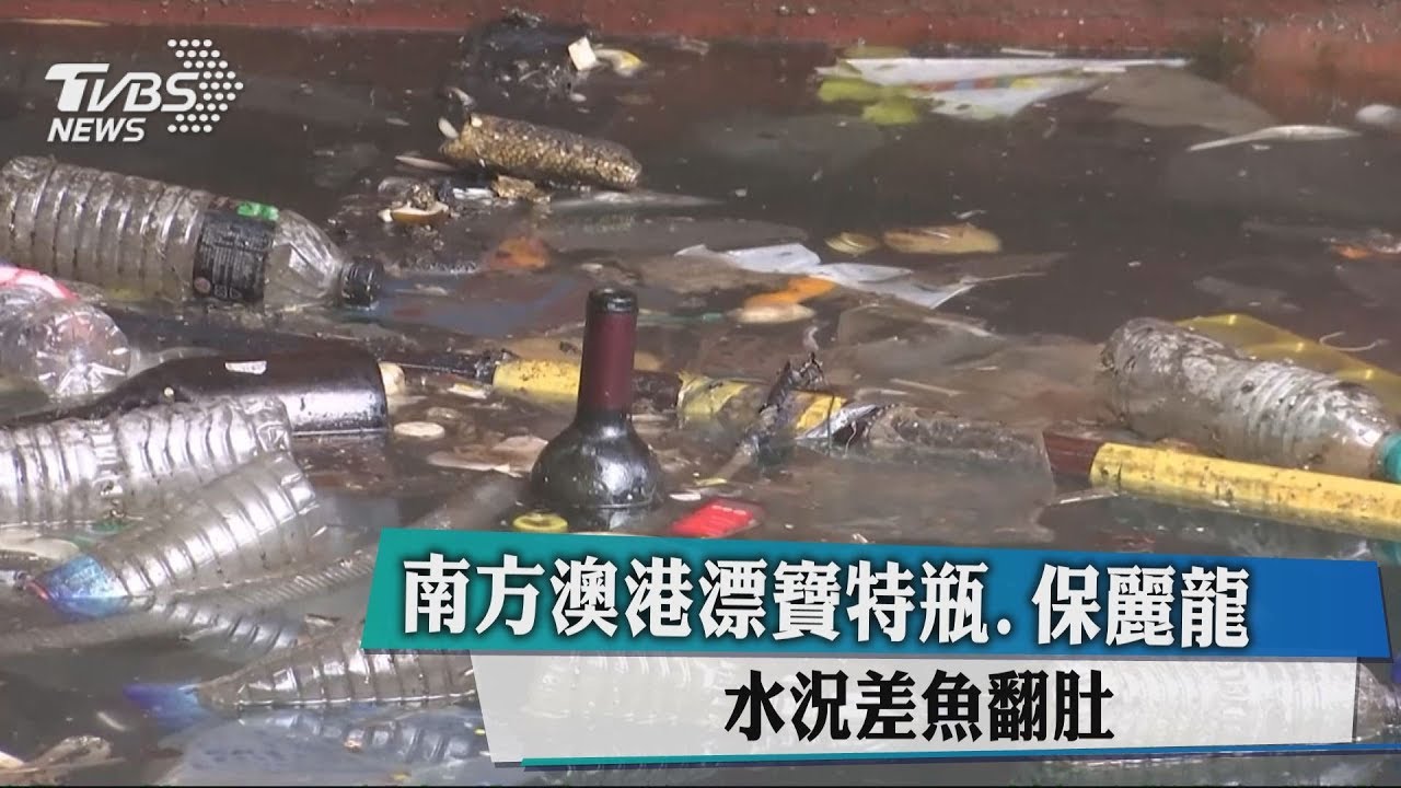 南方澳港漂寶特瓶、保麗龍　水況差魚翻肚
