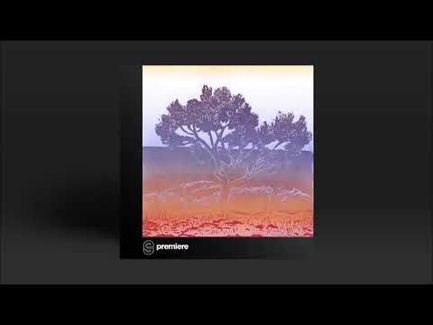 Premiere: PRG/M - Riluttanza - Accents Records