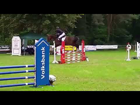 4 jährige Levistano