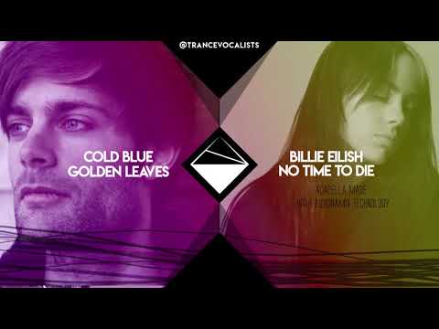 Billie Eilish x Cold Blue - No Time for Golden Leaves To Die (TranceX Mashup)