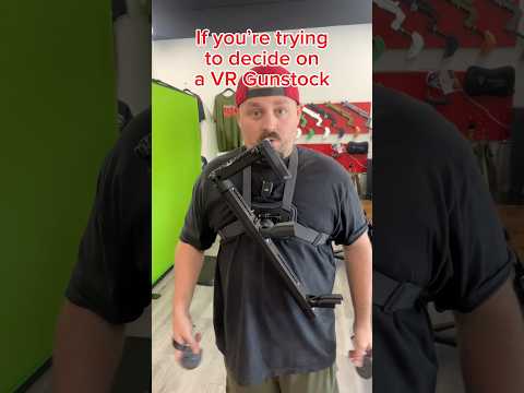You Only Need 1 VR Gunstock #vr