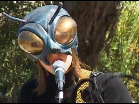 Reckling - "Spitter" (Official Music Video)