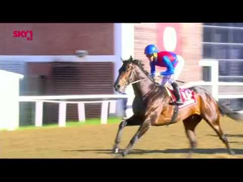 2021 SOUTH AFRICA'S Great Race DURBAN JULY