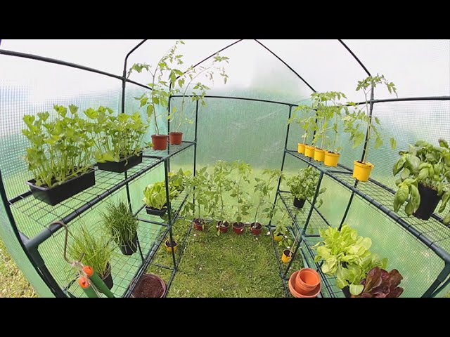 Video teaser for großes Gewächshaus aus Folie