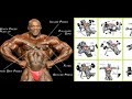 3 TOP EXS WITH ONLY DUMBELL TO BIG CHEST RONNIE COLEMAN