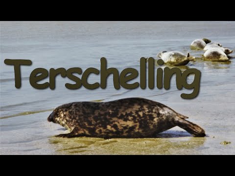 Best things to do on the island TERSCHELLING - The Netherlands
