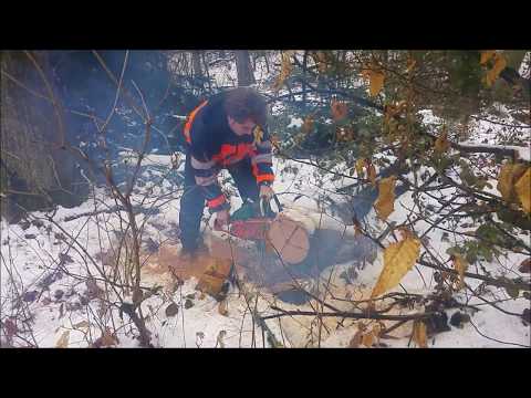 Dolmar CC116 erster Sägetest