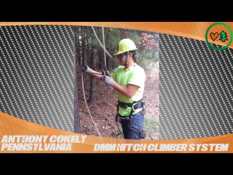 YouTube Thumbnail 6q3RimlwLD4