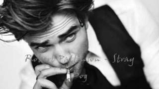 Robert Pattinson -Stray Dog
