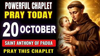 💖 WHEN EVERYTHING SEEMS BLOCKED — PRAY THIS CHAPLET TO SAINT ANTHONY OF PADUA 🙏
