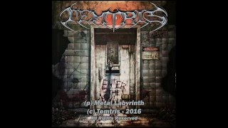 Temtris - Enter the Asylum