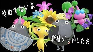 Pikmin Bloom！新種がたくさんやってきてる6月です！取り損ねたパズルも復刻が来て嬉しい！ピクミンブルーム