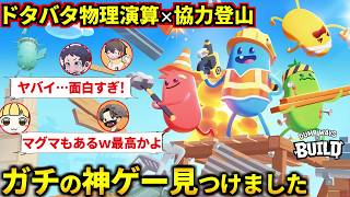 物理演算の資材を繋げて空への道をハチャメチャ建築！4人全員夢中になるガチ神ゲー見つけました！フルコン とりっぴぃ むつー【Dumb Ways to Build】#品行崩壊 #品行ニック