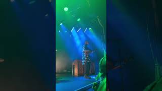 twenty one pilots - isle of flightless birds