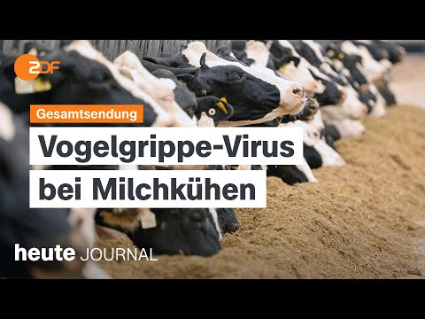 Video Thumbnail: heute journal vom 04.07.2024 Stromausfälle in der Ukraine, Vogelgrippe, Wahlen in Großbritannien