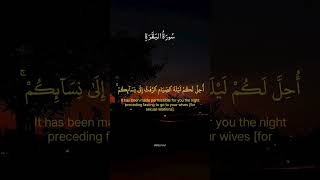 Download lagu Surah Al-Baqarah (2:186-2:187)  | | #قرآن #quran #fyp #fypシ #islamicshorts #shorts #quranrecitation mp3 Download lagu Surah Al-Baqarah (2:186-2:187)  | | #قرآن #quran #fyp #fypシ #islamicshorts #shorts #quranrecitation mp3