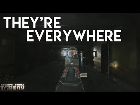 They're Everywhere - Escape From Tarkov