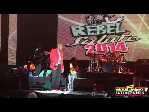 Lieutenant Stitchie - Rebel Salute 2014