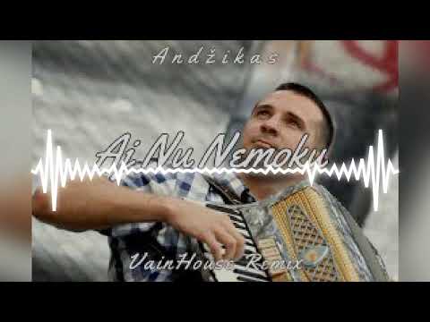 Andžikas - Aj Nu Nemoku ( VainHouse Remix )