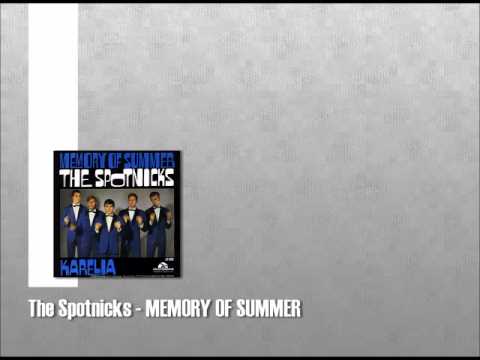 The Spotnicks - Memory of summer (1966)