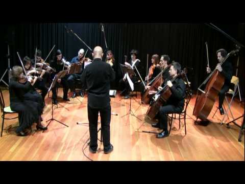 Tchaikovsky Elegy for strings - Roma Chamber Orchestra