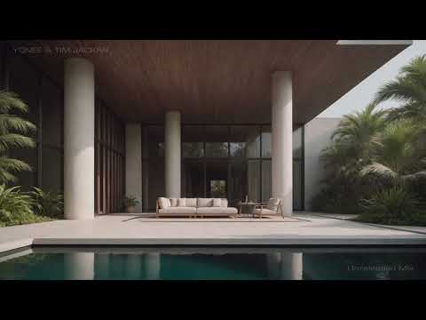 Unreleased Ambient Dub Techno Mix