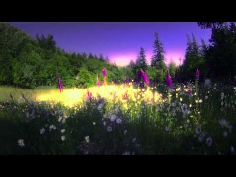 Wisdom Film - Ram Dass - "Be Here Now"