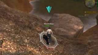 Warhammer Online: Zealot Gameplay