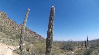 Sonoran Loop Competitive track 7 miles at the White Tanks