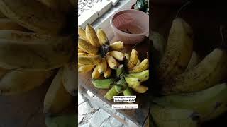 Download lagu Salah Satu Warung Tradisional Di Kedungdowo Semen Kidul Kec. Sukosewu Bojonegoro mp3 Download lagu Salah Satu Warung Tradisional Di Kedungdowo Semen Kidul Kec. Sukosewu Bojonegoro mp3