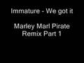 Immature - We got it (Marley Marl Pirate Remix)