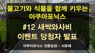 [서유채Farm - 12편] 아쿠아포닉스로 키운 특수채소 새싹와사비 이벤트 당첨자 배송!