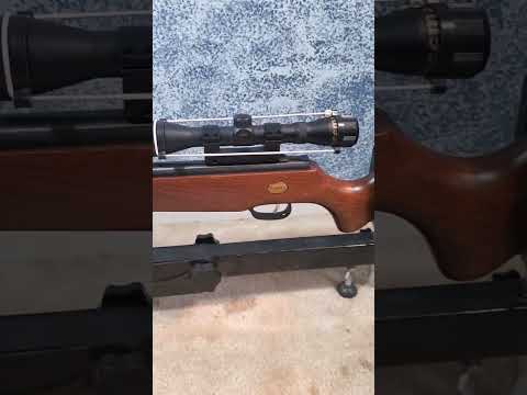 BEST Predator Control Gun --Beeman Air Rifle