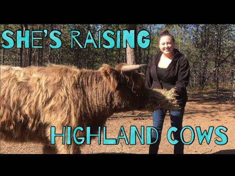 download lagu mp3 mp4 Cattle Grids Scotland, download lagu Cattle Grids Scotland gratis, unduh video klip Cattle Grids Scotland