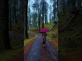 Sajna Ve Sajna ️ Ytshorts Viral Status Shots Song ️