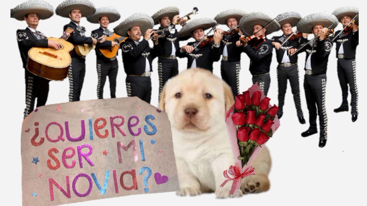 ¿Quieres Ser Mi Novia? Audio de Banda