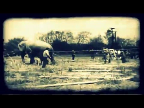 Microesfera - Rolling Circus (Elephant Circus)