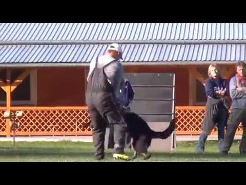 Training week team Bolle Ja Na Ka handler  Dirk Edler