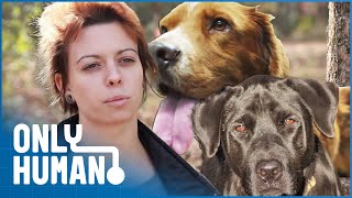 Winning The Heart Of A Feral Rescue Dog | Give Me Shelter | Only Human