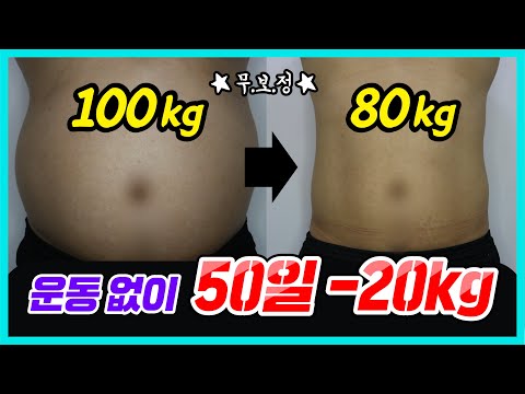 운동없이 단기간 다이어트! 100kg → 80kg 체중감량 성공! - HCG호르몬다이어트 1편 : 다이어트 식단, 원리, 노하우 공개!