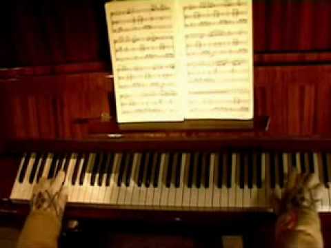 Марш ватников  | Апофеоз патриотизма "Колобаха"