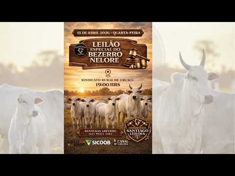 LEILÃO ESPECIAL DO BEZERRO NELORE - SANTIAGO LEILÕES - URUAÇU - GOIÁS  - 15/04/2026