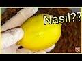 Günde Sadece 1 Limonla Nasıl Kilo Verilir?/Zayıflama Diyet Günde Sadece 1 Limonla Nasıl Kilo Verilir?/Zayıflama Diyet