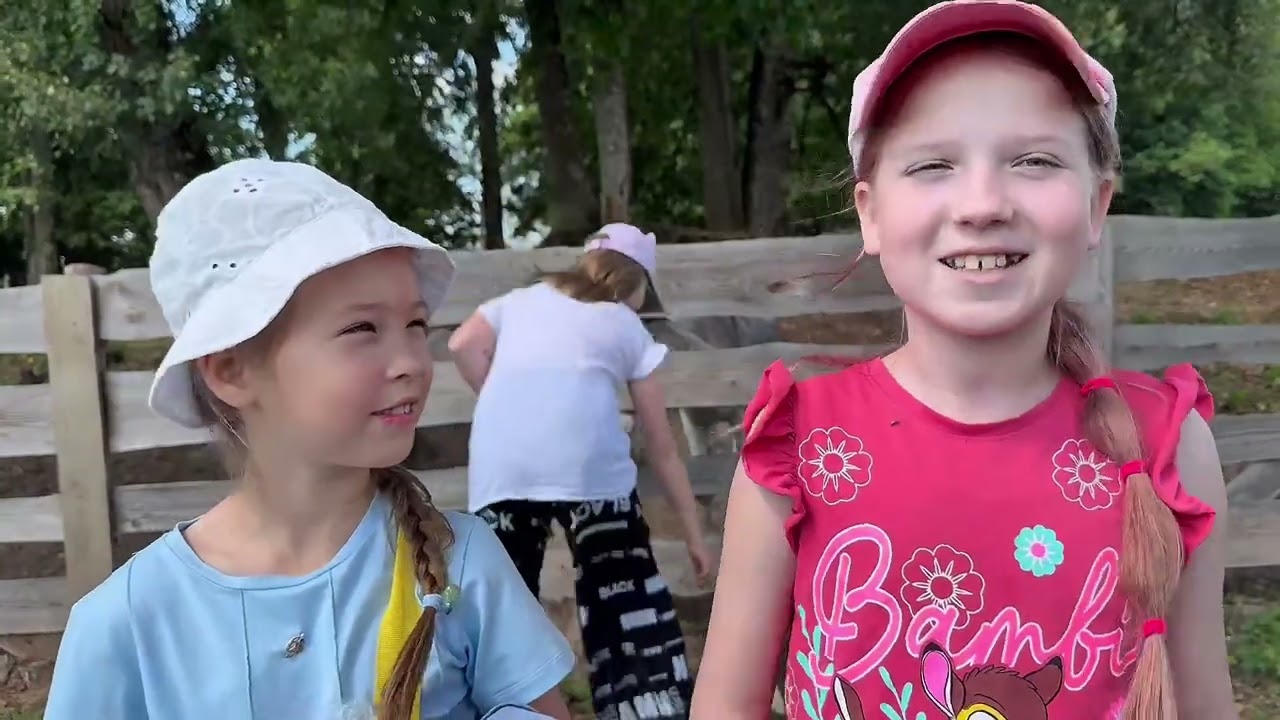 Превью видео